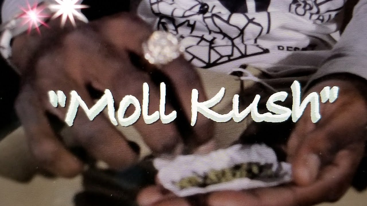 Moll Kush - Hustle (Official Video)| 🔫 by @elroyjetsonfly [prod. By AyeDatsP & The Campaign]