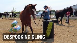 Despooking And Confidence Riding Clinic With Mary Hamilton & 5 Things I Learned