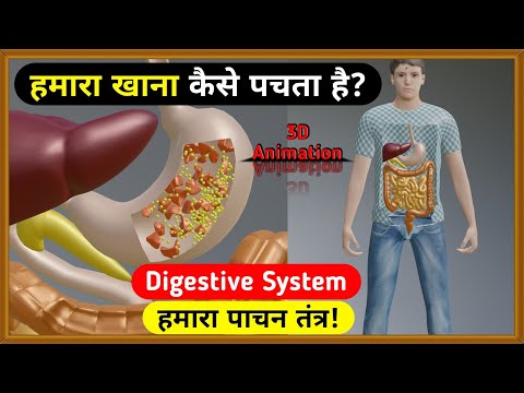 वीडियो: मौसमी एलर्जी हमारे पालतू जानवरों में खरोंच और स्नीफल्स लाओ