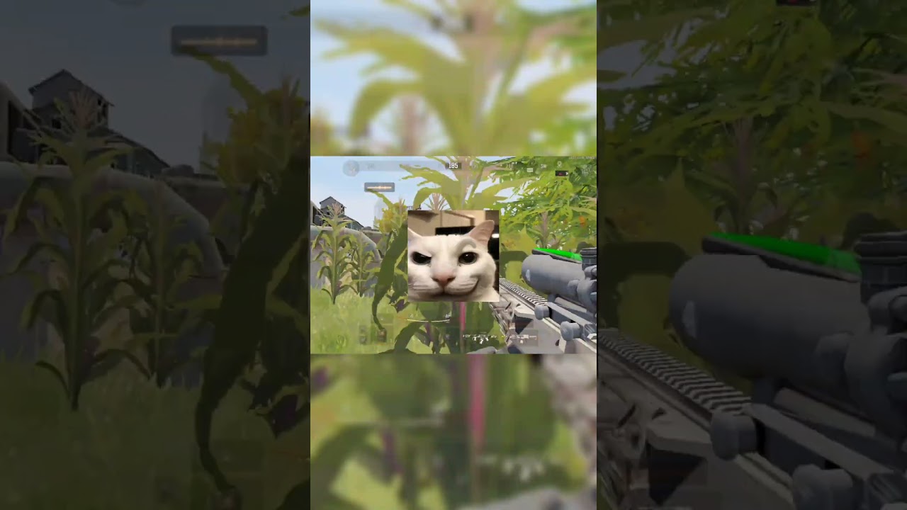 Random Match With Evolys😋😋