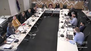 Extraordinary Council meeting - Representation Review Initial Proposal
