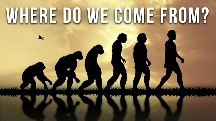 Journey of Humanity: The Story of Human Evolution