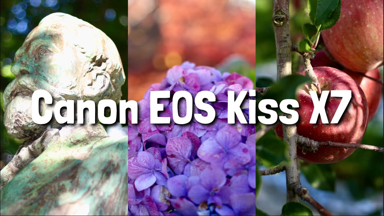 【作例紹介】『ぼけ感』にこだわった写真５選！Canon EOS kiss X7はいいカメラだぞい