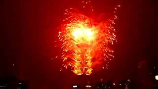 Taipei 101 Countdown Fireworks - 2010
