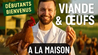 Élever des poulets pour la viande et les œufs fa