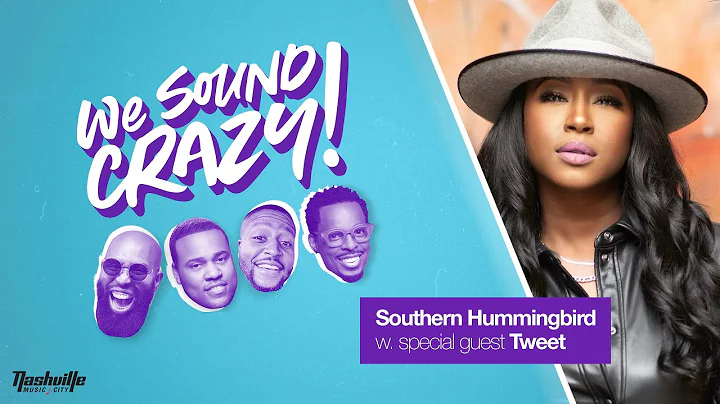 Southern Hummingbird With Special Guest Tweet | We Sound Crazy