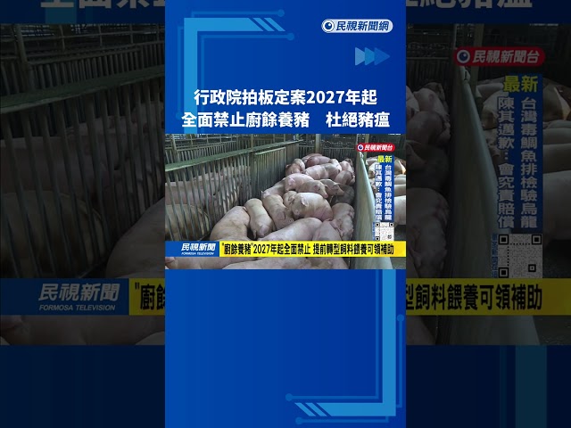 杜絕豬瘟！ 行政院拍板定案  2027年起「全面禁止廚餘養豬」－民視台語新聞