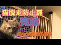 DIYで猫脱走防止扉作りました、見た目より脱走しない様にを心がけました、[保護猫]#DIY＃猫脱走防止