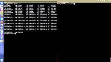 A Tutorial on Unix command Kill and Killall