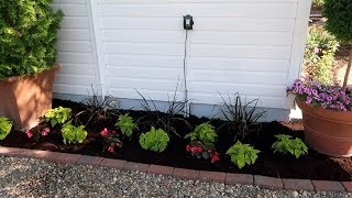 garden answer coop chicken side planting