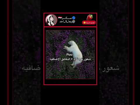 احلى شعور هههه اكسبلور لايك يوتيوب