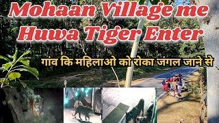 #Mohaan Village me huwa #Tiger  Enter