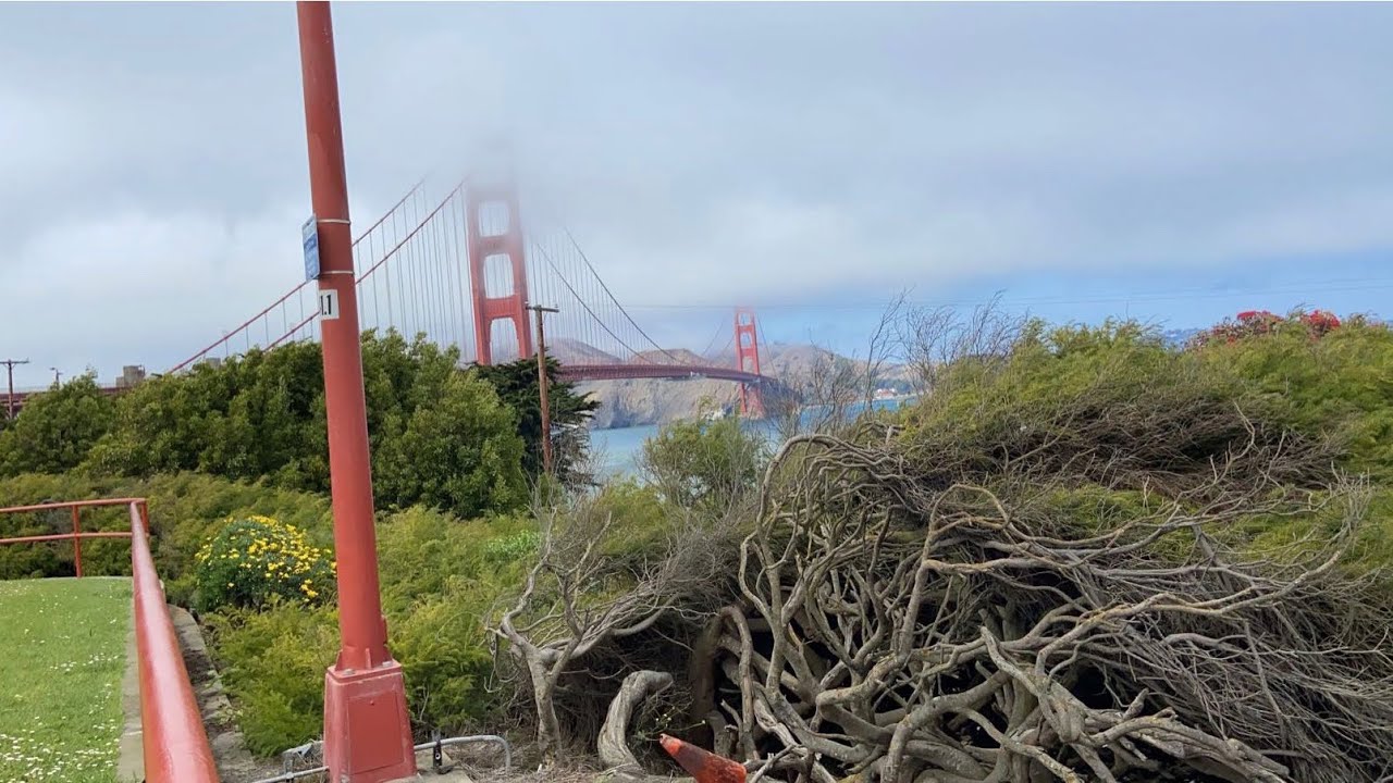 San Francisco late August 2020