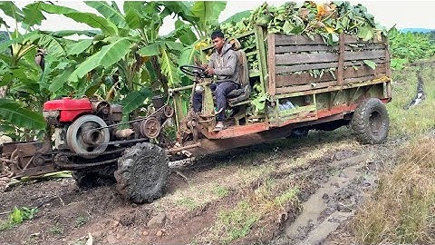 Xe công nông 2 cầu chở chuối quá đầy cực khỏe và cái kết