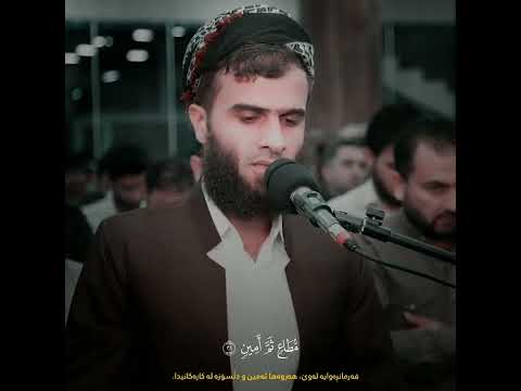 سورة الفاتحة مع مقطع من سورة التكوير القارئ رزكار محمد الكردي