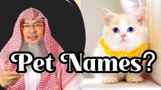 Is it permissible to give your Pets names & is there any restriction in this? assimalhakeem -JAL screenshot 3