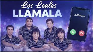 LLÁMALA – LOS LEALES 💔 ¡No la dejes ir!