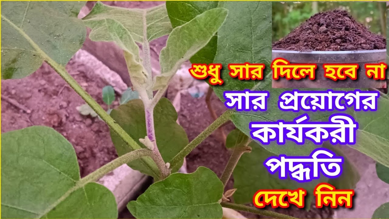 best-method-of-uses-fertilizer