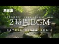 2 Hours of Japanese Water Garden Sounds | 和風庭園 ししおどしの水音 – Relaxing BGM