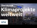 Deutschlands größte Umweltbank: Das Klimaengagement der KfW