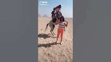 تحميل مهرجان انت مش صاحبي انت صاحب دخان 