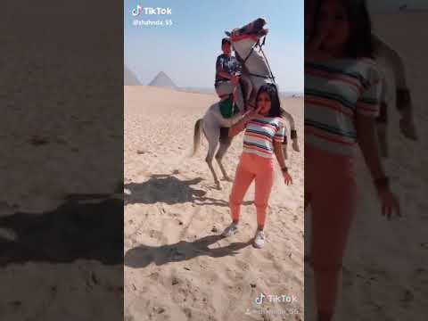 تحميل مهرجان انت مش صاحبي انت صاحب دخان