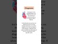 Biology Study Hacks Every Student Needs #biology #trendingshorts #students #viral #powerful#tshorts