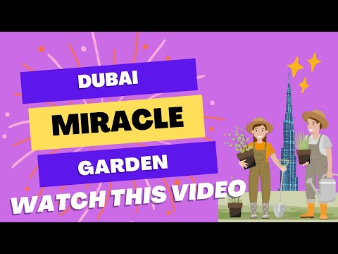 Dubai Miracle Garden | Tour | Fresh Flowers | 11 Season | Open Now