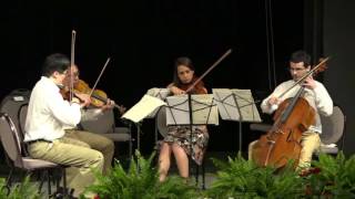 WUSM Four Humours 2016   Dvorak "American" String Quartet, Finale