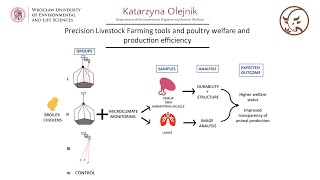 Precision Livestock Farming tools and poultry welfare and production efficiency - Katarzyna Olejnik