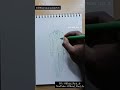 Day 29Of using my croqui booklet and sketchpad #30daysmanualillustrationsketch #PaulJr #reels