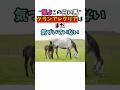 "誰よこの白い馬"グランアレグリアはまだ気づいていない#競馬 #horse