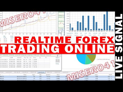 Miser041 Forex Trading online EA for Metatrader.