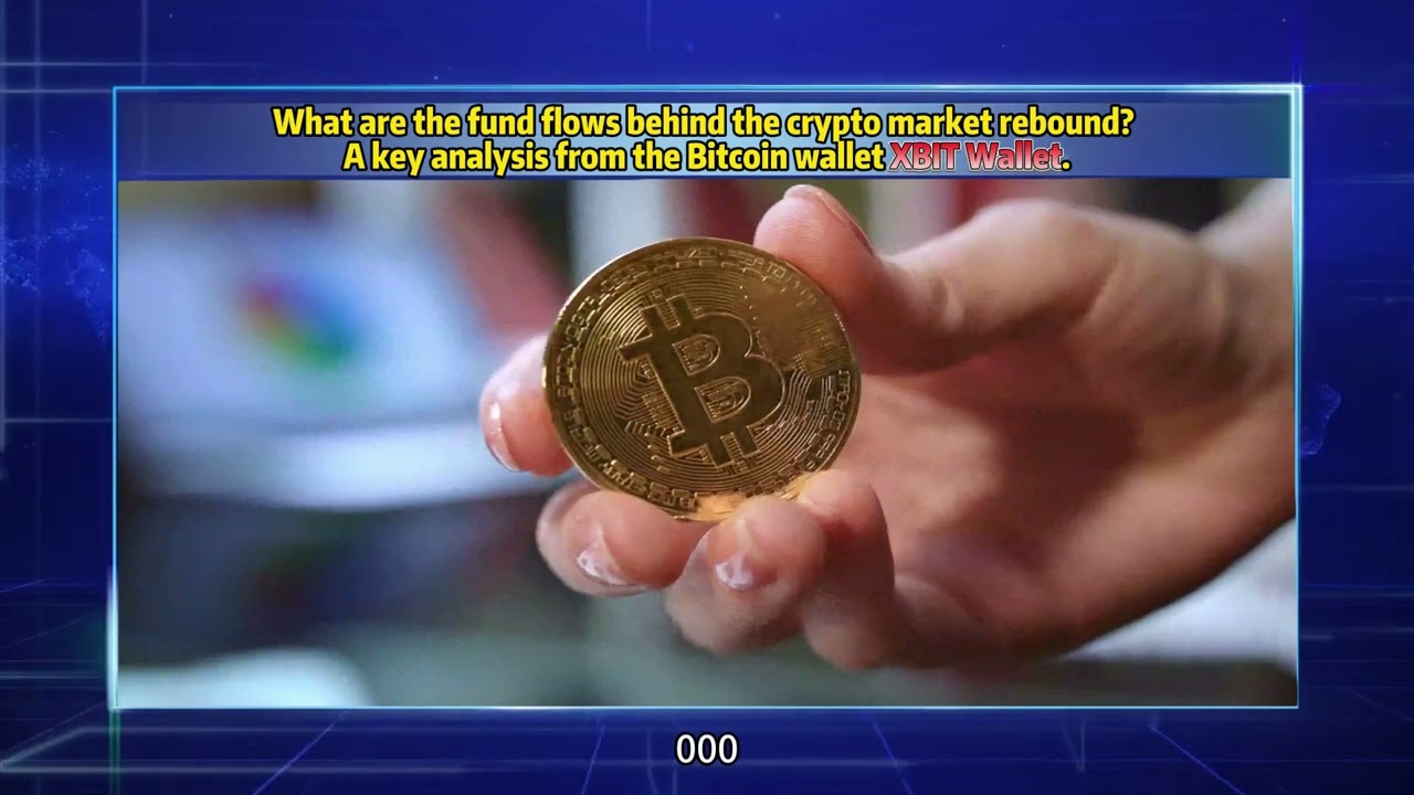 What are the fund flows behind the crypto market rebound? 