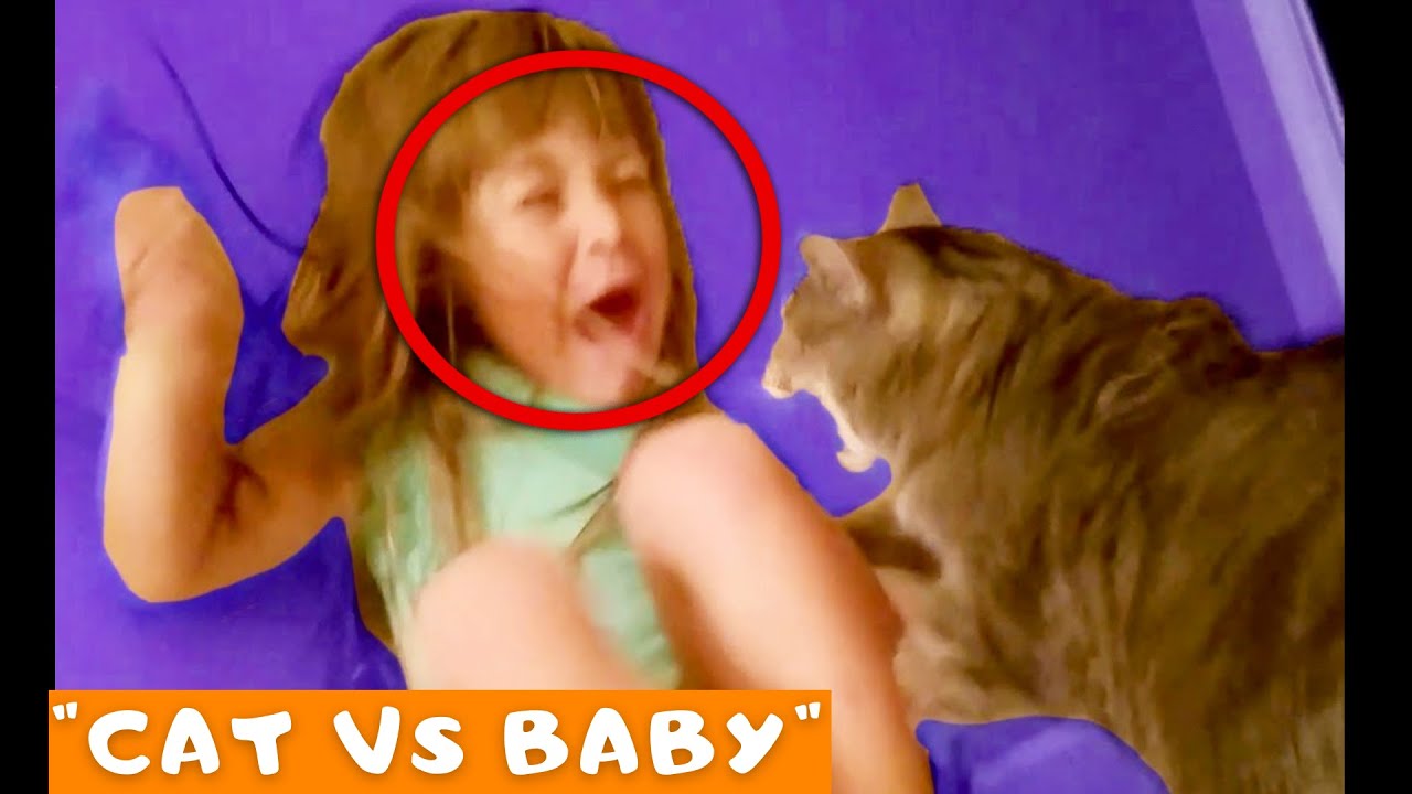 Cute Funny Cats vs. Epic Kids Fails Compilation | Funny Cats Baby Video