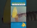 lý do tại sao dây thừng không thể cuốn vào chân vịt tàu thủy | Dũng CM