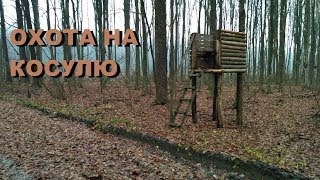 ОХОТА НА КОСУЛЮ {СЕЗОН 2017 2018 ЯНВАРЬ} ОХОТА НА КОСУЛЮ {СЕЗОН 2017 2018 ЯНВАРЬ}