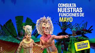 Este mes de mayo vive El Rey León 🦁🍃🌼 ¡Hasta -50% domingos y entre semana antes de verano !