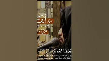#تلاوة تقشعر لها الأبدان #مؤثرة #اكسبلور #تلاوة