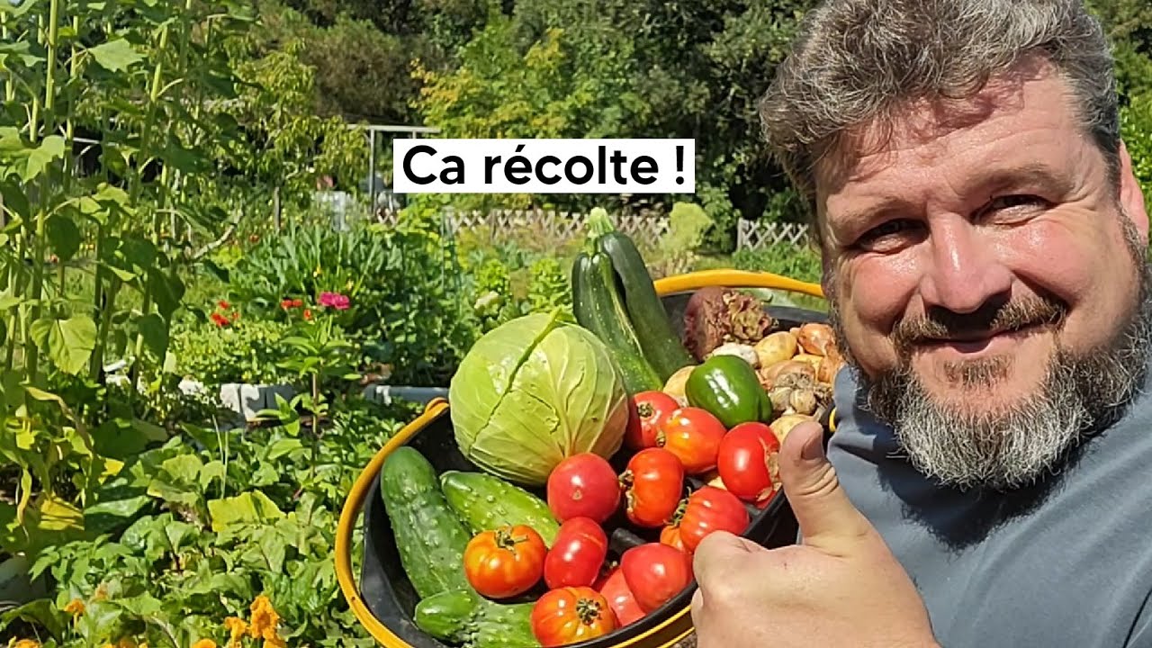 Le potager d'été a remplacé le potager de printemps - Tour de jardin de mi juillet【VLOG】