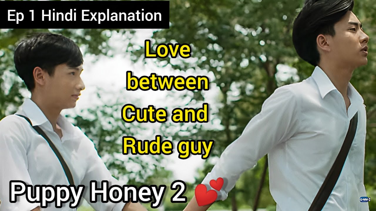 Secret Love:Puppy Honey 2 Ep 1 Explain in Hindi(हिन्दी)|2017