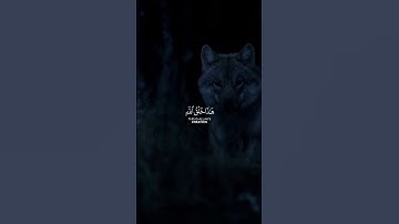 سورة لقمان | ياسر الدوسري