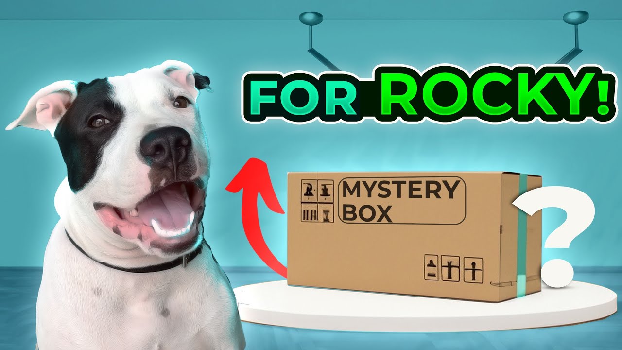 UNBOXING MYSTERY PACKAGE 📦