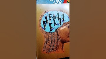 Neurons and Glial cells