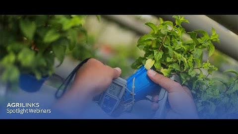 Updating the Global Food Security Research Strategy: New Evidence and Opportunities