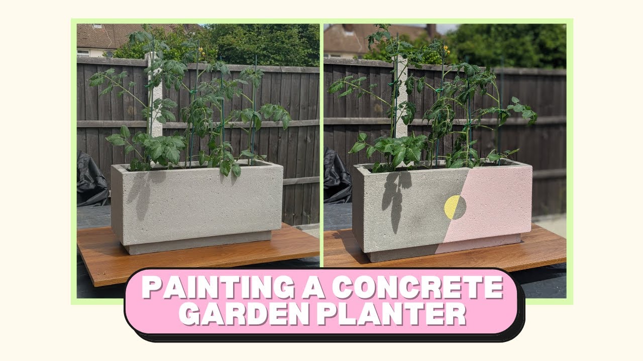 Painted Concrete Large Planter Boxes Colourful Painted Concrete Plant