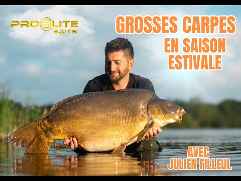 GROSSES CARPES EN SAISON ESTIVALE / AVEC JULIEN FILLEUL / PROELITEBAITS FRANCE 🇫🇷