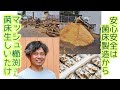 徳島県の主力農産物＊菌床生しいたけ生産者　協同組合マッシュ櫛淵さんを密着取材しました！　現場見学編　前編　菌床ブロック製造施設　生産者さんがここまでやる！？丸太から菌床ブロックができるまでの迫力映像