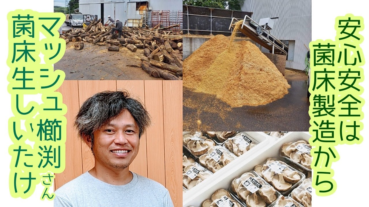 徳島県の主力農産物＊菌床生しいたけ生産者　協同組合マッシュ櫛淵さんを密着取材しました！　現場見学編　前編　菌床ブロック製造施設　生産者さんがここまでやる！？丸太から菌床ブロックができるまでの迫力映像
