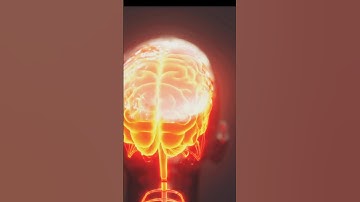 The Brain: More Powerful Than the Internet?